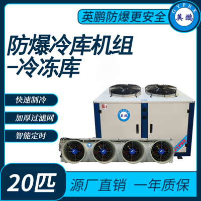 防爆冷库机组-冷冻库20匹