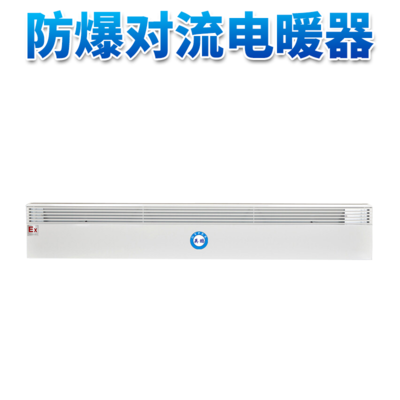 防爆对流电暖器BYT-20DLA