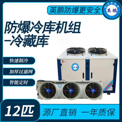 防爆冷库机组-冷藏库12匹