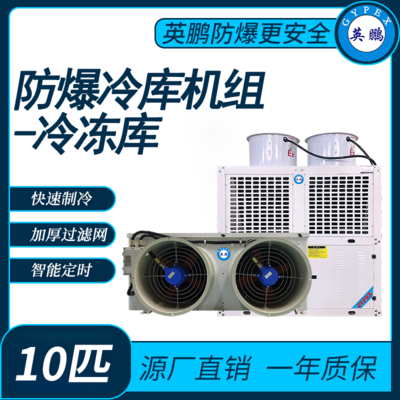 防爆冷库机组-冷冻库10匹