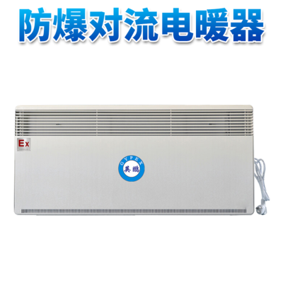 防爆对流电暖器BYT-25DLB