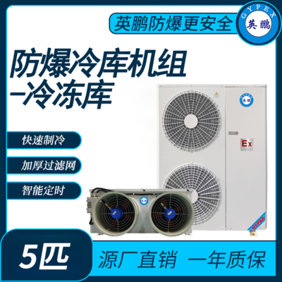 防爆冷库机组-冷冻库5匹